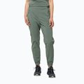 Dámske softshellové nohavice Jack Wolfskin Prelight green 1508111
