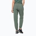 Dámske softshellové nohavice Jack Wolfskin Prelight green 1508111 2