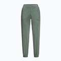 Dámske softshellové nohavice Jack Wolfskin Prelight green 1508111 4