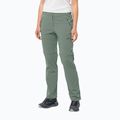Dámske softshellové nohavice Jack Wolfskin Glastal Zip Off green 1508151_4151_042