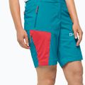 Jack Wolfskin pánske trekingové šortky Glastal blue 1508171 3