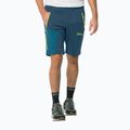Pánske softshellové nohavice Jack Wolfskin Glastal Zip Away navy blue 1508301 3