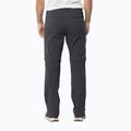 Pánske softshellové nohavice Jack Wolfskin Glastal Zip Away sivá 1508301 2