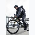 Pánske trekové topánky Jack Wolfskin Woodland 2 Texapore Low black 12