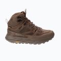Pánske trekové topánky Jack Wolfskin Terraquest Texapore Mid bear 10
