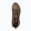 Pánske trekové topánky Jack Wolfskin Terraquest Texapore Mid bear 12