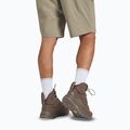 Pánske trekové topánky Jack Wolfskin Terraquest Texapore Mid bear 16