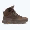 Pánske trekové topánky Jack Wolfskin Terraquest Texapore Mid bear 2
