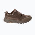 Pánske trekové  topánky Jack Wolfskin Terraquest Texapore Low gecko bear 3