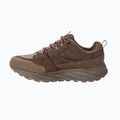 Pánske trekové  topánky Jack Wolfskin Terraquest Texapore Low gecko bear 4