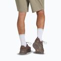 Pánske trekové  topánky Jack Wolfskin Terraquest Texapore Low gecko bear 9