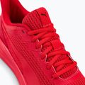 Pánska bežecká obuv PUMA Transport Modern red 377030 05 10