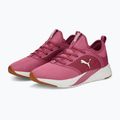 Dámska bežecká obuv PUMA Softride Ruby pink 377050 04 11