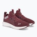 Dámska bežecká obuv PUMA Softride Enzo Nxt maroon 195235 17 4