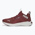 Dámska bežecká obuv PUMA Softride Enzo Nxt maroon 195235 17 11