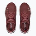 Dámska bežecká obuv PUMA Softride Enzo Nxt maroon 195235 17 14