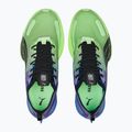 Pánska bežecká obuv PUMA Fast-R NITRO Elite Carbon royal sapphire/fizzy lime 15