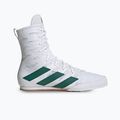 Boxerské topánky adidas Box Hog 4 cloud white/collegiate green/core black 3