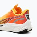 Dámska bežecká obuv PUMA Velocity Nitro 3 Fade sun stream/sunset glow/white 12