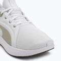 Bežecké topánky PUMA Softride Carson puma white/desert dust 7