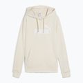 Dámska mikina PUMA ESS No. 1 Logo Hoodie TR alpine snow