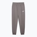 Pánske tepláky PUMA ESS No. 1 Logo Sweatpants TR CL liatina