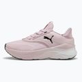 Dámske bežecké topánky PUMA Softride Mayve rose mauve/puma black/sun struck