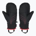 Detské lyžiarske rukavice ZIENER Luron Aquashield PR Mitten multicolor 2