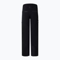 Pánske lyžiarske nohavice BOGNER FIRE+ICE Nic-T black 2