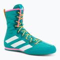 Boxerské topánky adidas Box Hog 4 turquoise