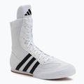 Boxerské topánky adidas Box Hog II white/black