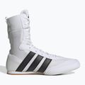 Boxerské topánky adidas Box Hog Classic white 2