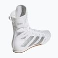 Boxerské topánky adidas Box Hog 4 white/silver 2