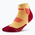 Pánske kompresné  ponožky CEP Run Low Cut 5.0 marigold/burgundy 2