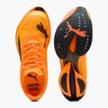 Pánske bežecké topánky PUMA Fast-R Nitro Elite 3 heat fire/sun stream 6