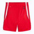 Pánske basketbalové šortky PUMA teamJAWS Starter for all time red 2