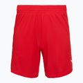 Pánske basketbalové šortky PUMA teamJAWS Starter for all time red