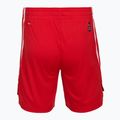 Pánske basketbalové šortky PUMA teamJAWS Starter for all time red 2