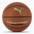 PUMA teamJAWS Court Pro Basketbalová koža hnedá/tmavý tieň veľkosť 7