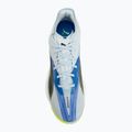 Hádzanárske topánky PUMA Accelerate Nitro SQD 5 aqua glow/puma black/green glare/royal sapphire 5