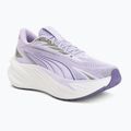 Bežecké topánky Puma Maxima Pro light lavender/plum purple