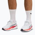 Pánske bežecké topánky Puma Velocity Nitro 5 puma white/ultra red 7