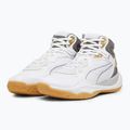 Pánska basketbalová obuv PUMA Playmaker Pro Mid Trophies ash gray/cast iron/puma gold 8