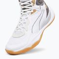 Pánska basketbalová obuv PUMA Playmaker Pro Mid Trophies ash gray/cast iron/puma gold 12