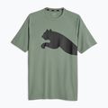 Pánske tréningové tričko PUMA Train All Day Big Cat eucalyptus/puma black