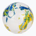 Futbalová lopta PUMA Orbita 6 FanwearCapsule MS puma white/pele yellow/puma green veľkosť 5 2