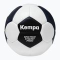 Kempa Spectrum Synergy Primo Game Changer hádzaná šedá/zelená veľkosť 1 4