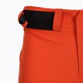 Pánske skitouringové nohavice ORTOVOX 3L Ravine Shell sly fox 3