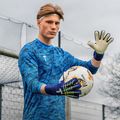 Brankárske rukavice T1TAN Blue Beast 3.0 FP blue/white 3