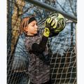 Brankárske rukavice T1TAN AROX 1.0 yellow 5